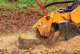 Best Lawn Maintenance Plans  in Plum Grove, TX