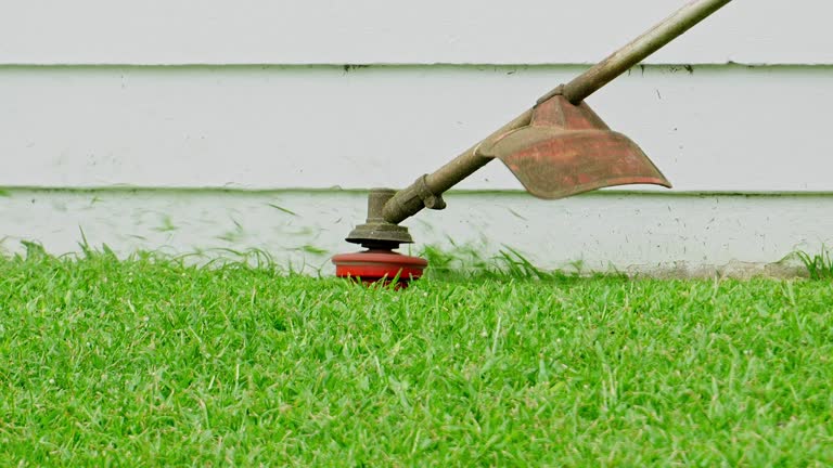 Best Soil Testing and Treatment  in Plum Grove, TX